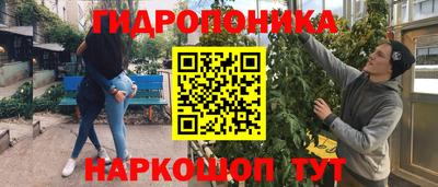 ПСИЛОЦИБИНОВЫЕ ГРИБЫ Донской