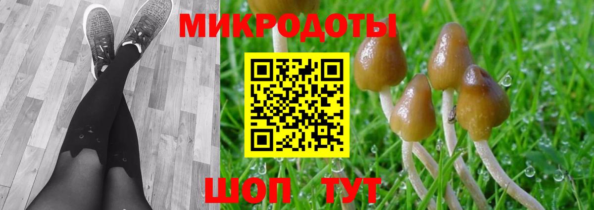 Псилоцибиновые грибы мицелий Заречный